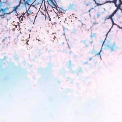 云开平台APP官方全站APP入口手机app下载