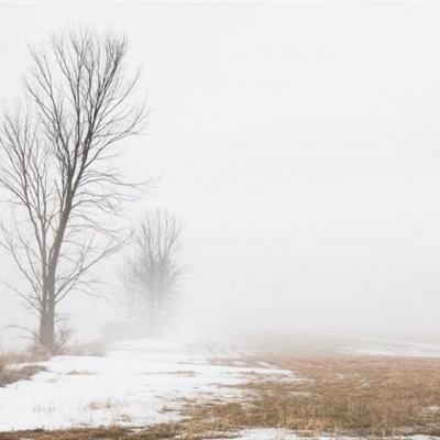 万博体育最新下载链接