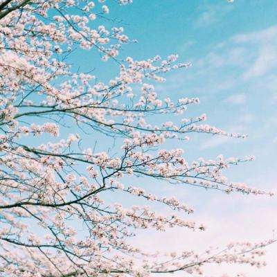 博鱼app官网下载